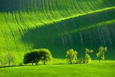 los campos de moravia, R. checa